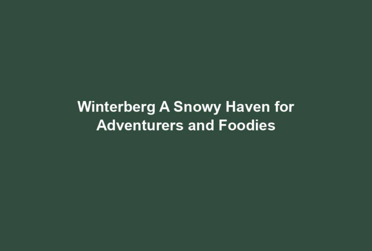 Winterberg A Snowy Haven for Adventurers and Foodies