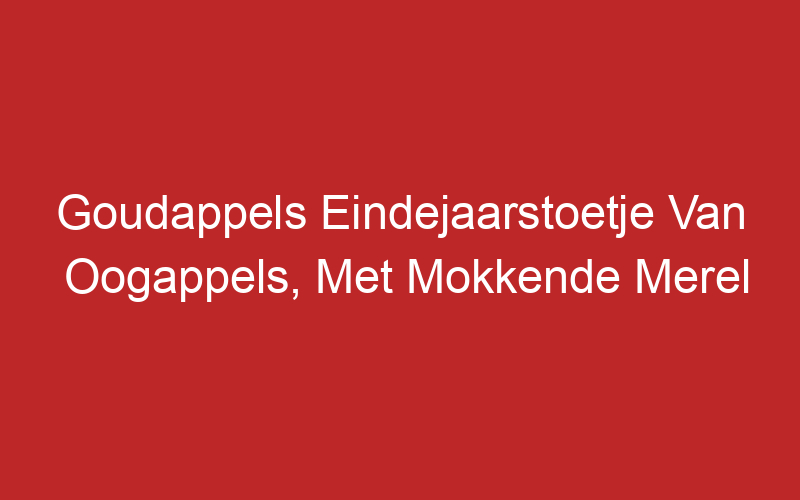 Goudappels Eindejaarstoetje Van Oogappels, Met Mokkende Merel